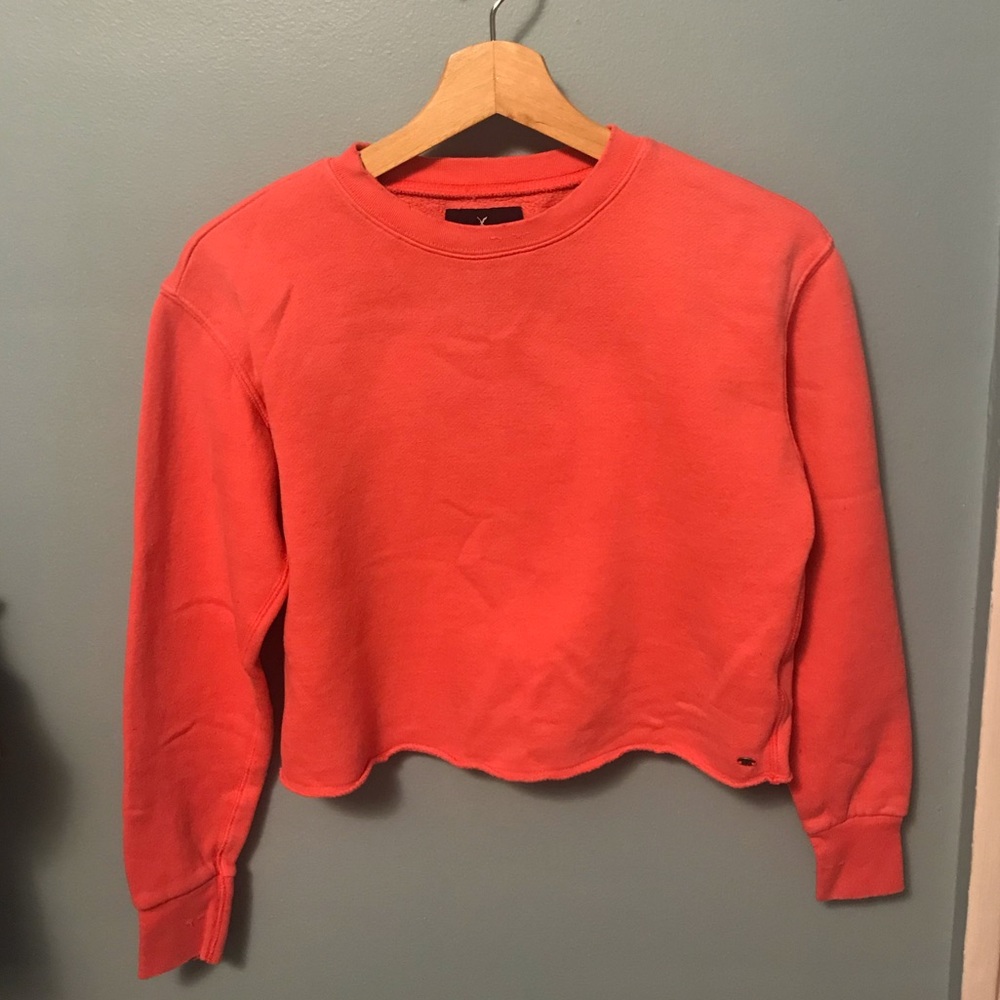 American Eagle Outfitters Cropped Sweatershirt
